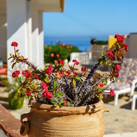 别墅 Modern Eleganceprivate Pool *